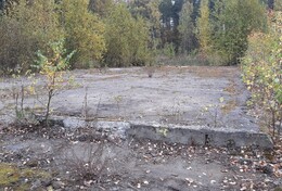 У Колеса времени свой ход, или с чего начинается Буддийский паломнический центр